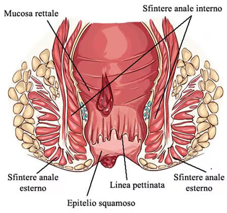 scleromousse-napoli-caserta-guido-coretti